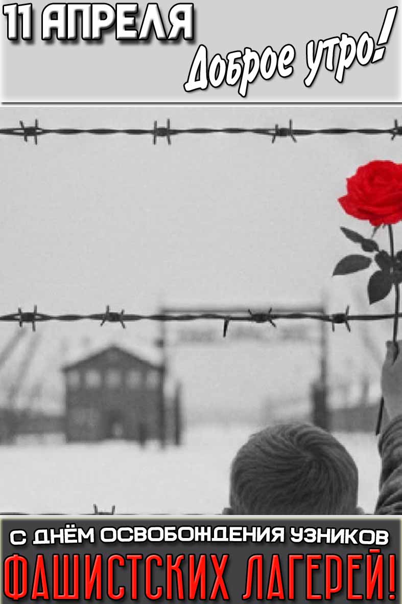 Картинка "11 апреля доброе утро! С днём освобождения узников фашистских лагерей!"