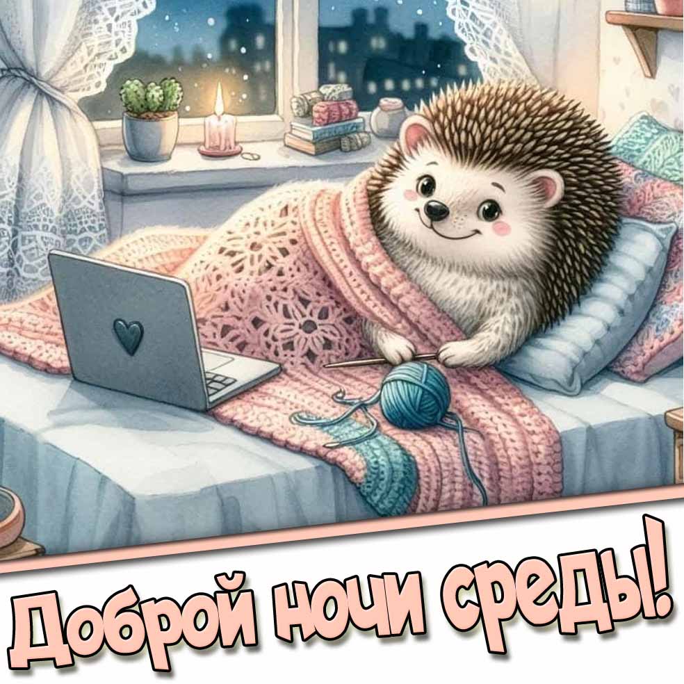 Прикольная картинка доброй ночи среды