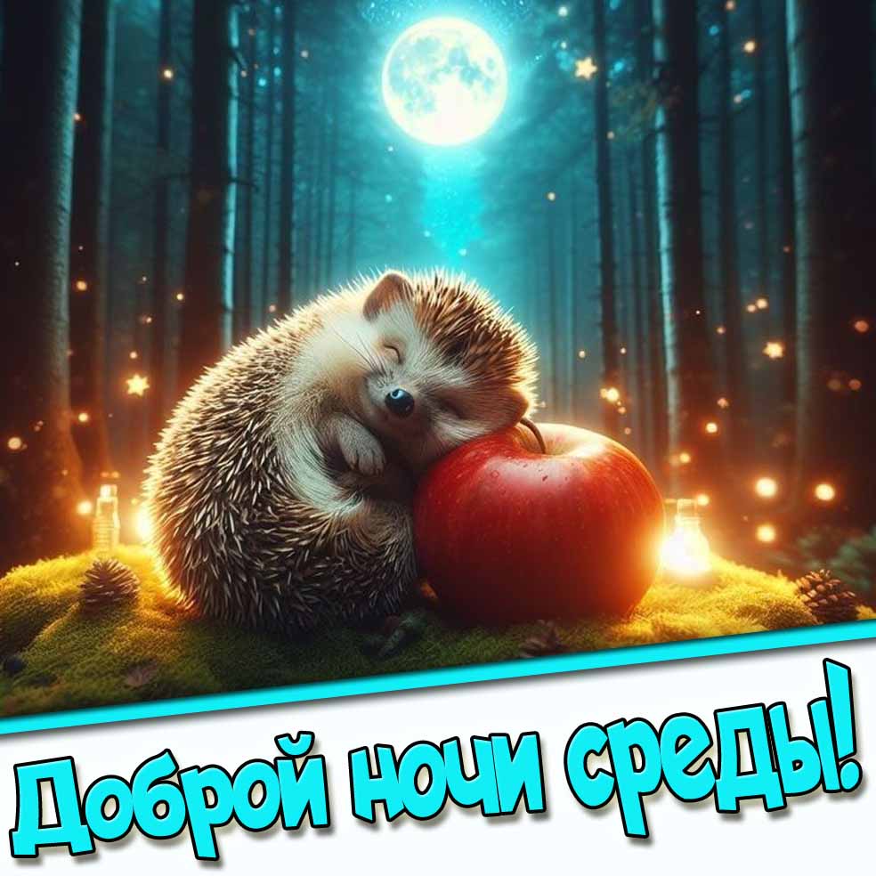 Доброй ночи среды! - красивая открытка с ёжиком