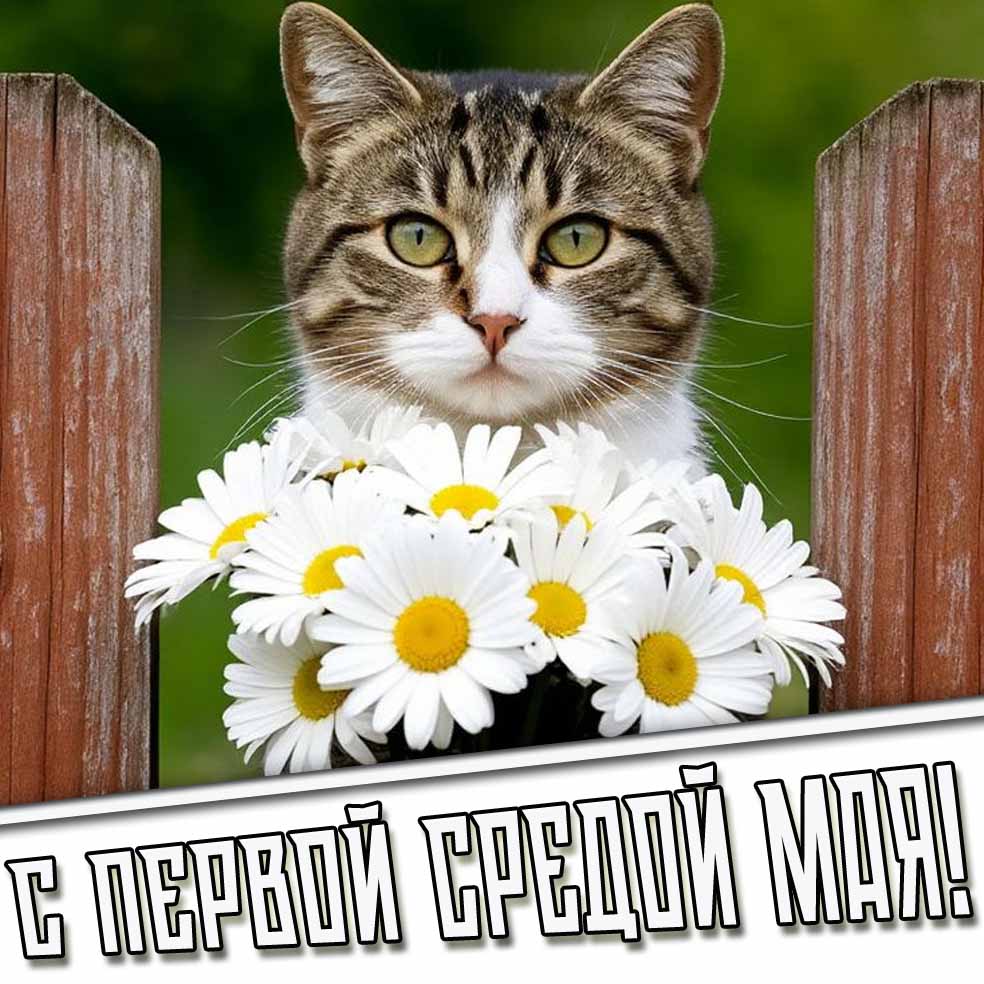 Открытка с первой средой Мая