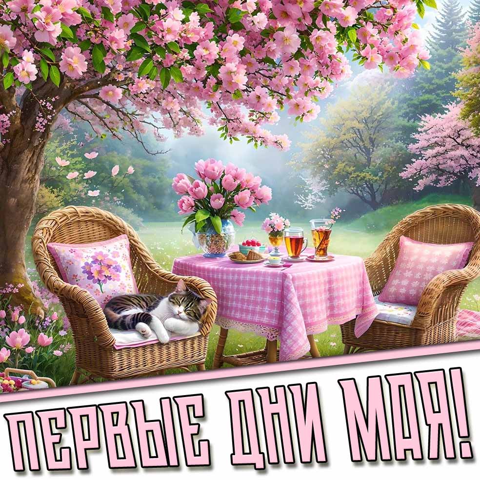 Картинки на первые дни Мая