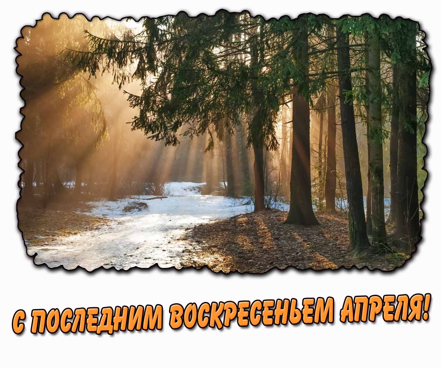 С последним воскресеньем апреля! - солнечная открытка