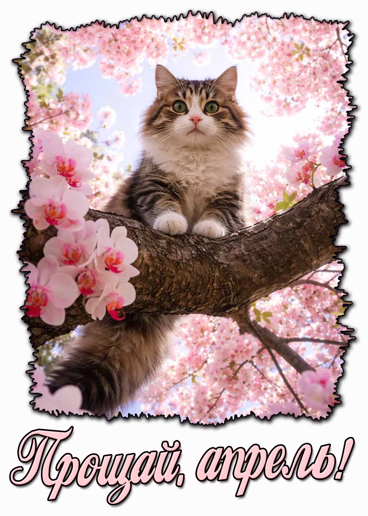 Красивая открытка "Прощай, апрель!"