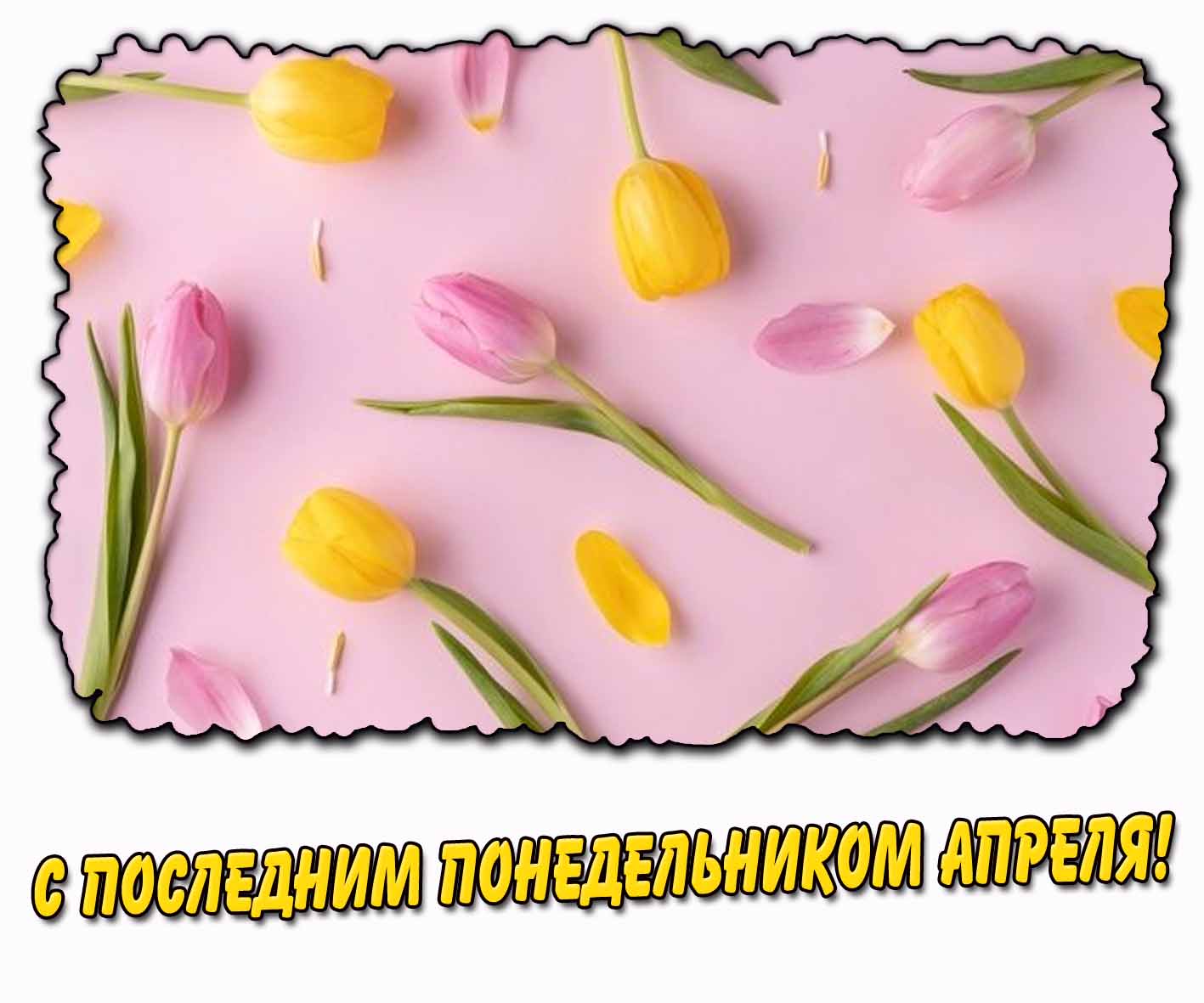 С последним понедельником апреля! - картинка с тюльпанами