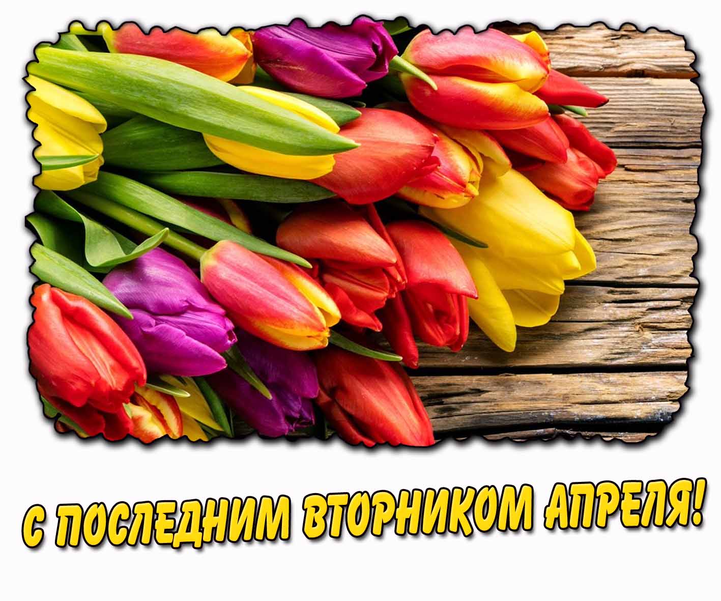 С последним вторником апреля! - картинка с тюльпанами