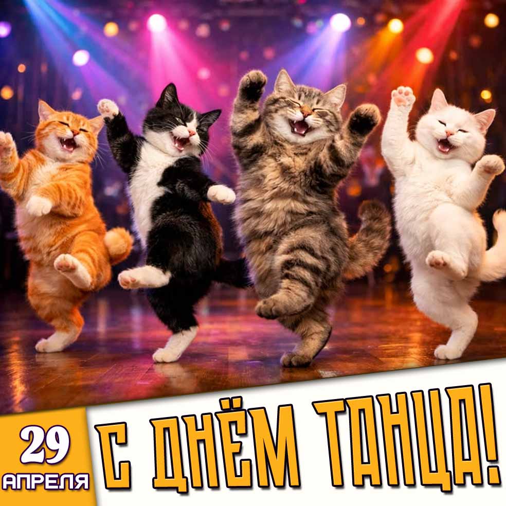 С днём танца! - прикольная картинка с котами