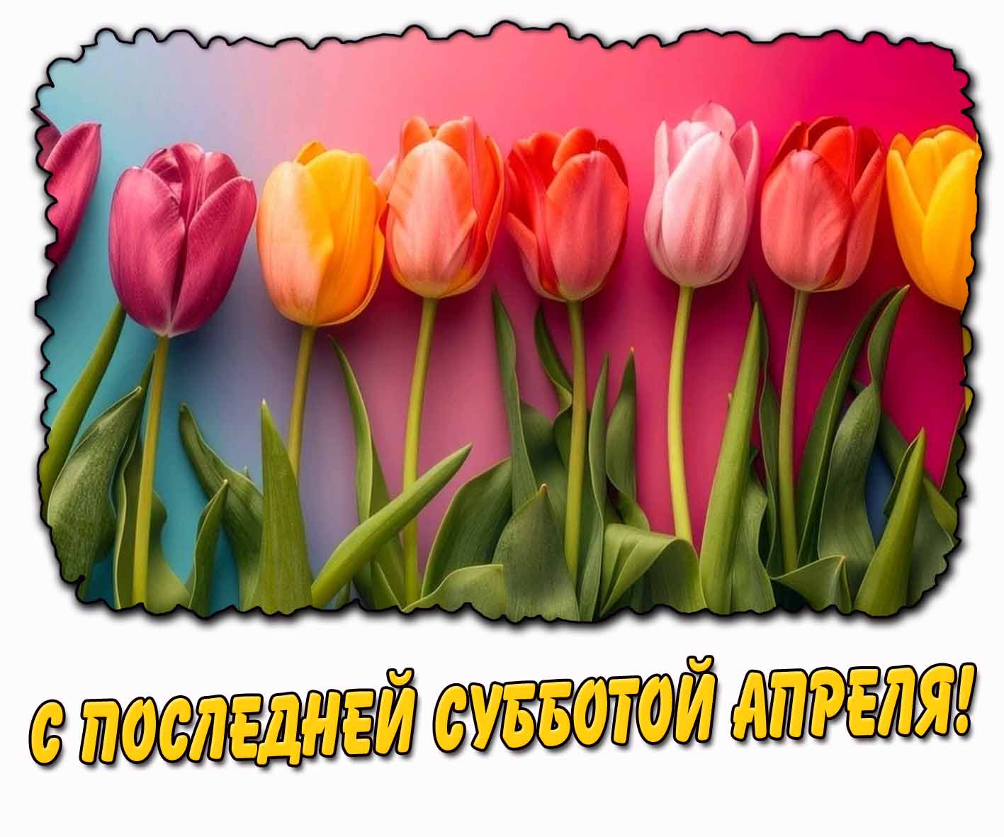С последней субботой апреля! - картинка с тюльпанами