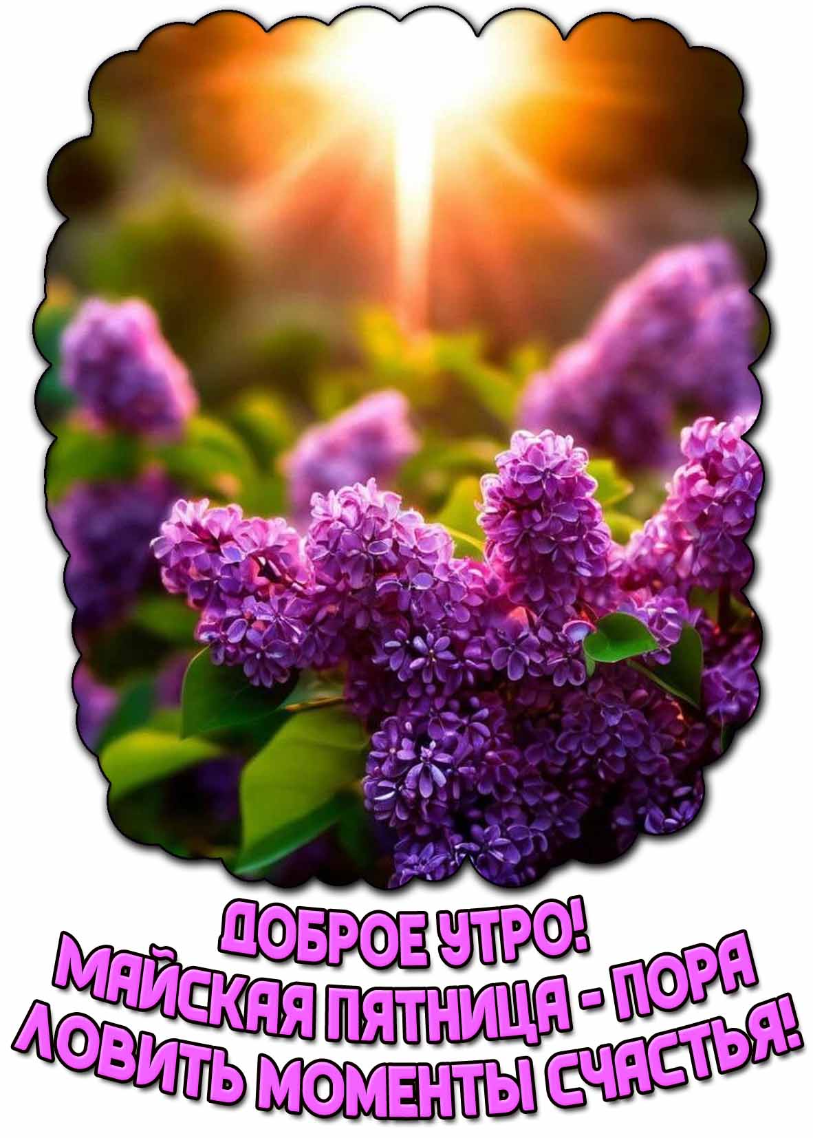Открытка "Доброе утро! Майская пятница - пора ловить моменты счастья!"