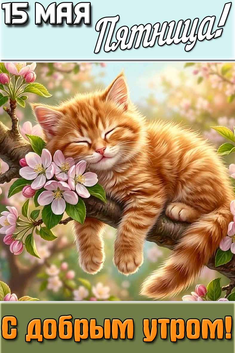 Картинка "15 мая пятница! С добрым утром!"