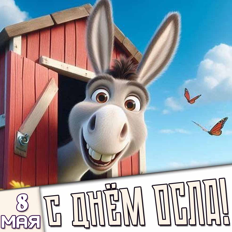 Открытка 8 мая - с днём осла!