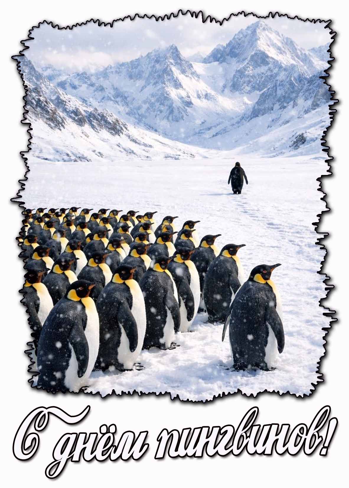 С днём пингвинов! - красивая открытка