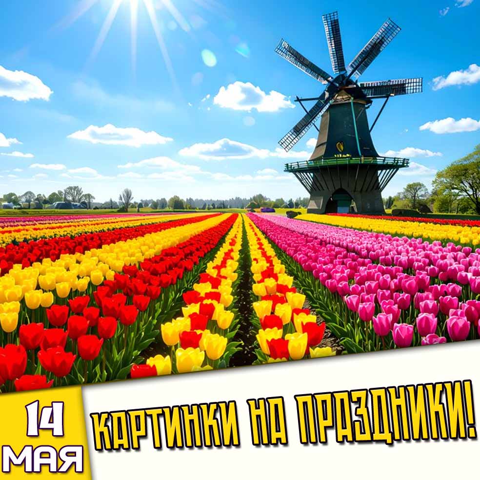 Картинки на праздники 14 мая
