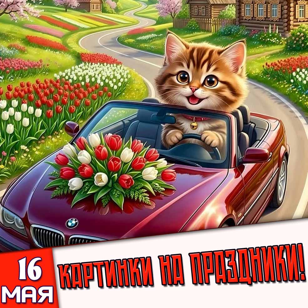 Картинки на праздники 16 мая