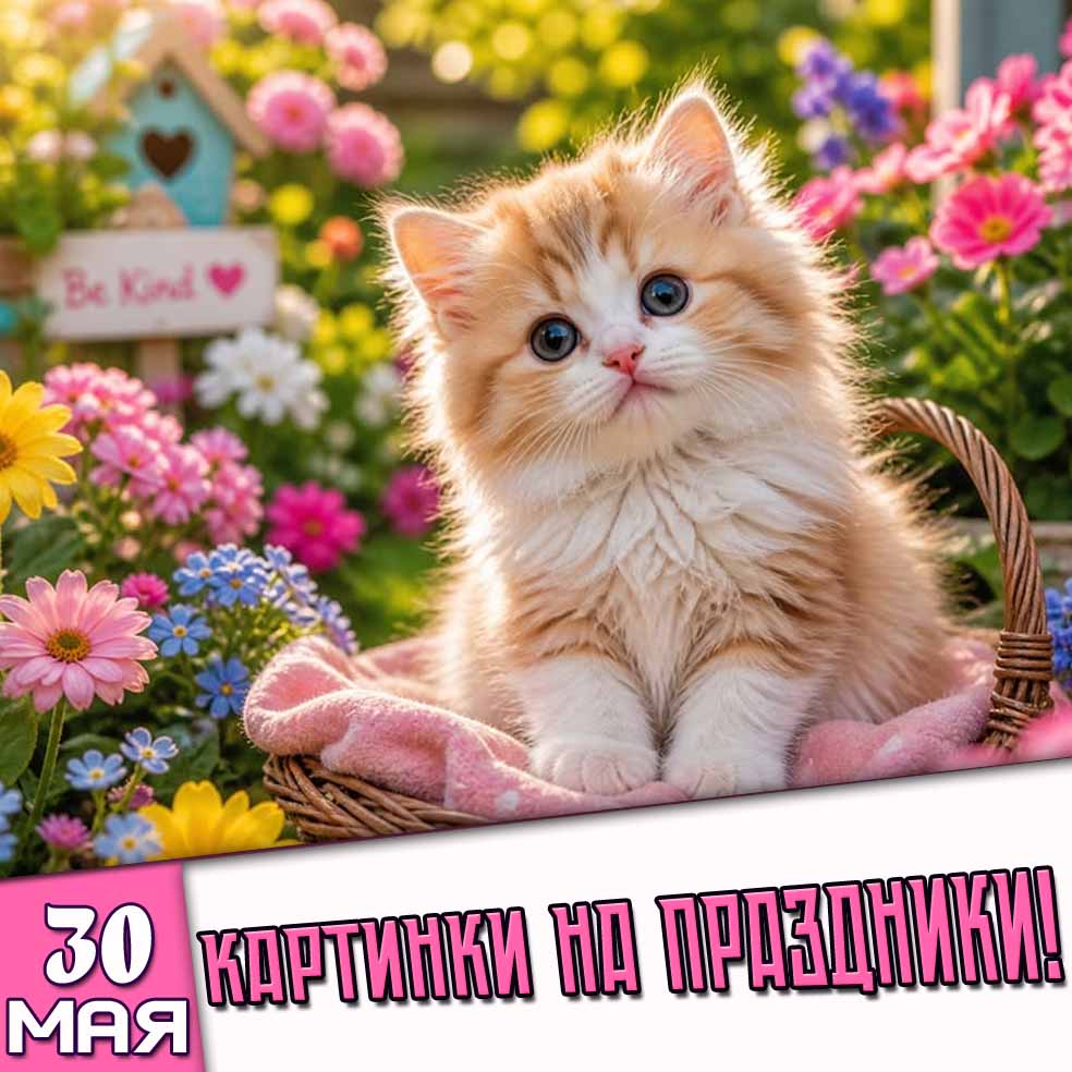 Картинки на праздники 30 мая