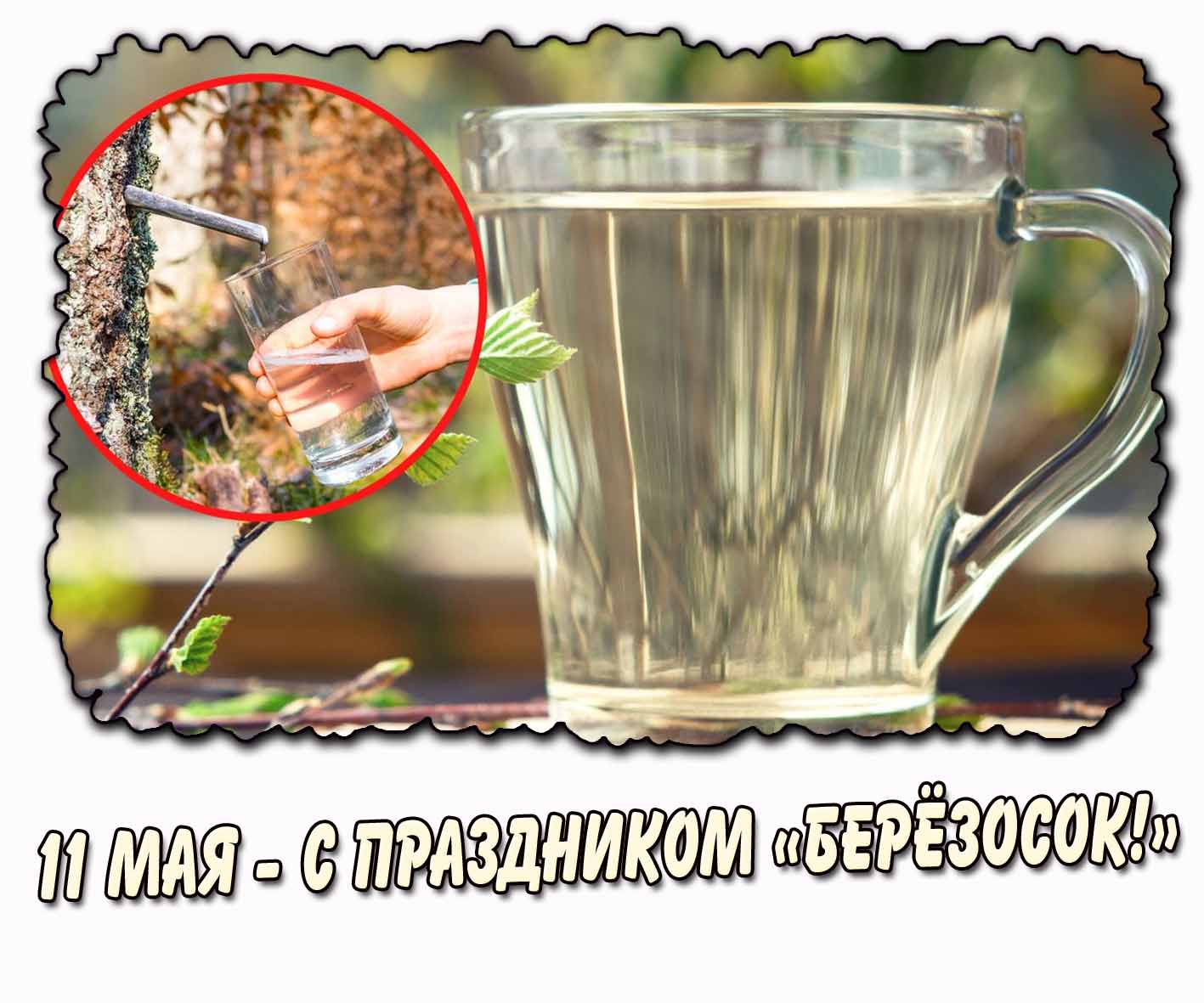 Картинка 11 мая - с праздником «Берёзосок!»