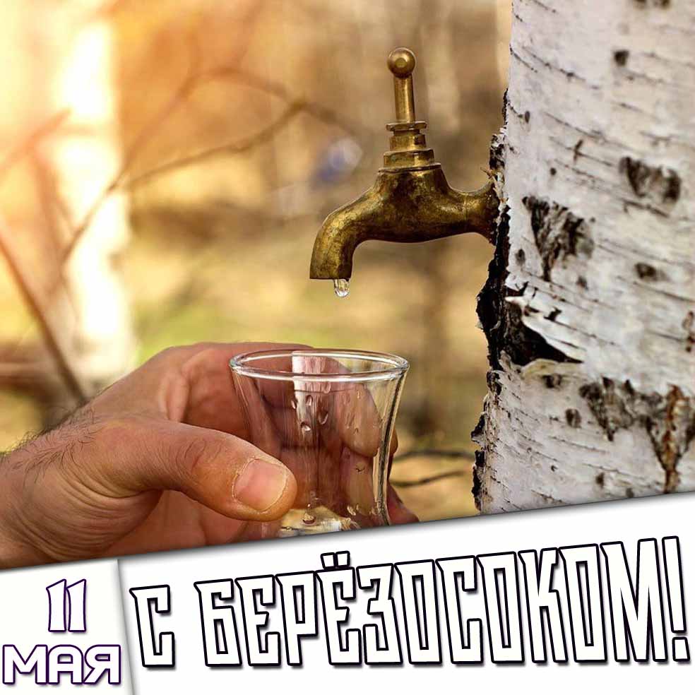 Открытка 11 мая - с Берёзосоком!