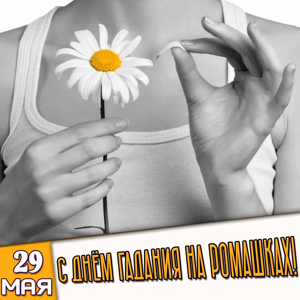 Картинка 29 мая - с днём гадания на ромашках!