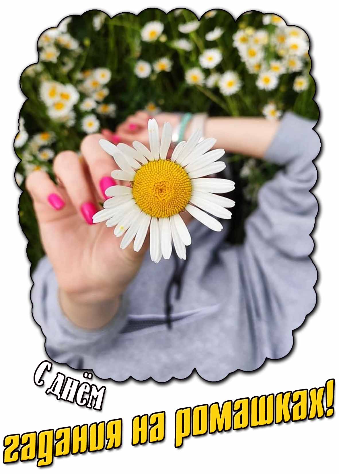 Картинка с днём гадания на ромашках