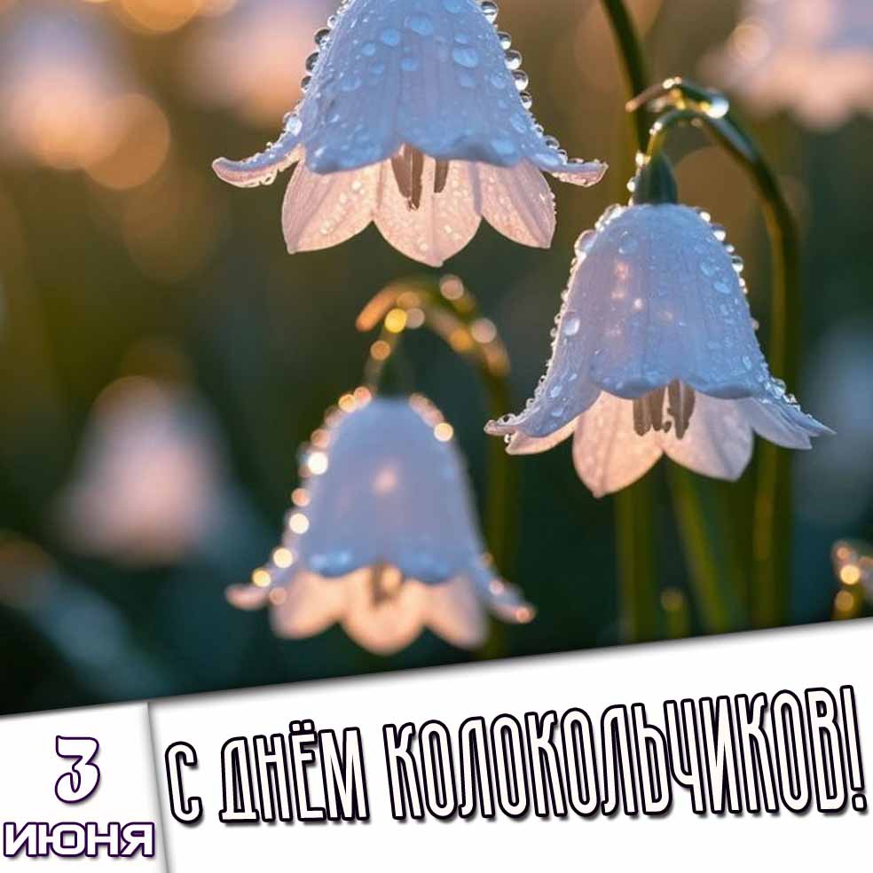 Картинка 3 июня - с днём колокольчиков!