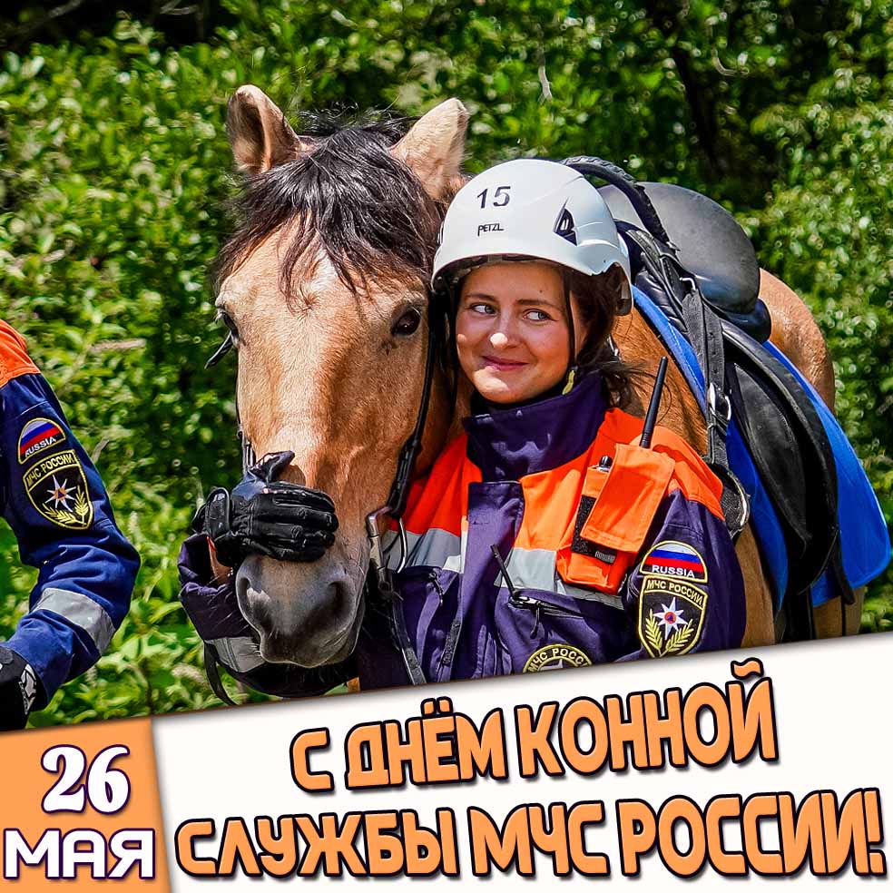 Открытка 26 мая - с днём конной службы МЧС России!