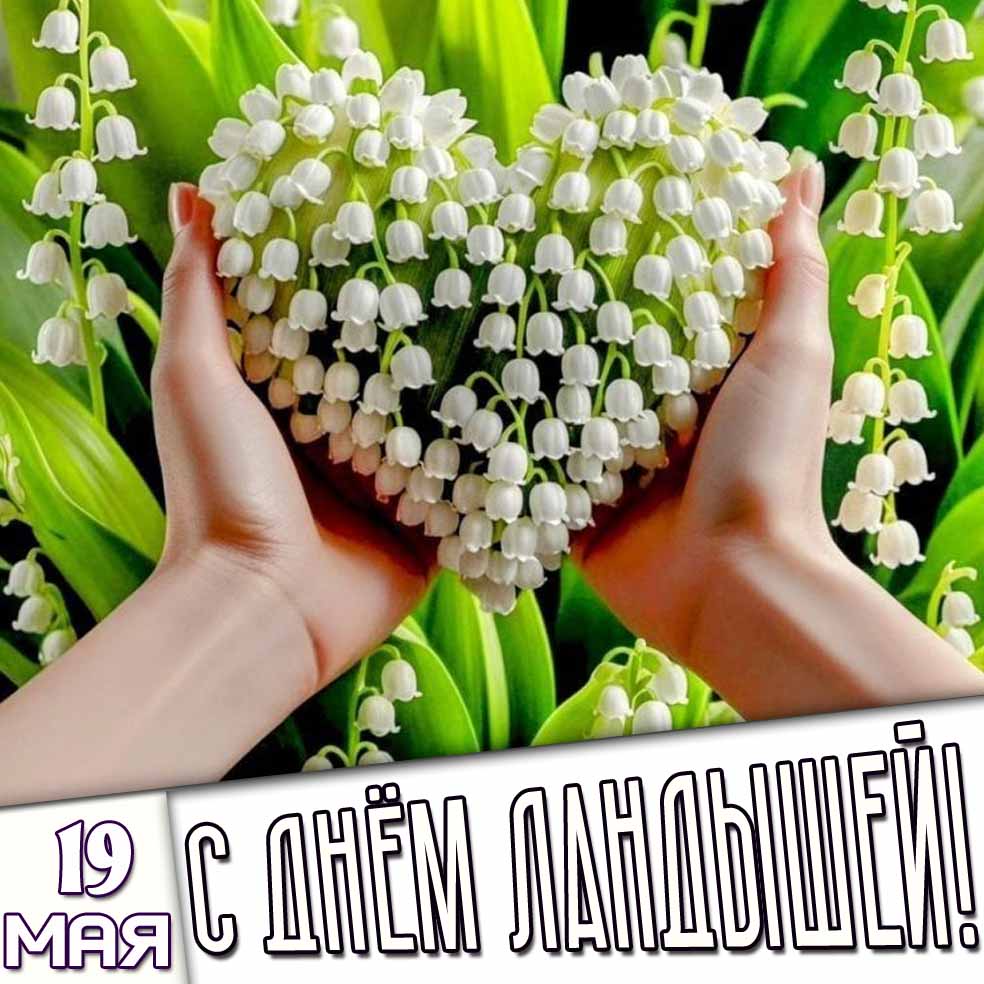 Открытка 19 мая - с днём ландышей!