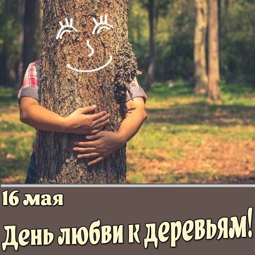 Открытка 16 мая - день любви к деревьям!