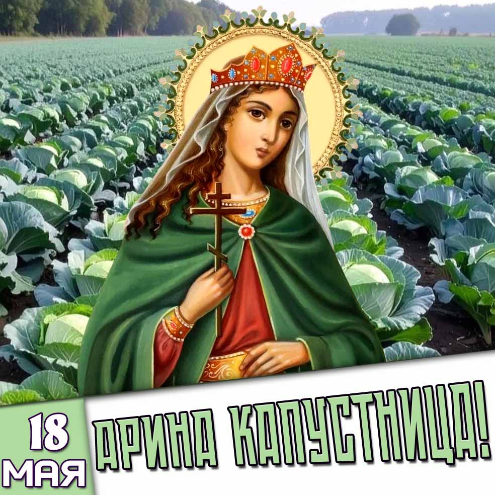 Открытка 18 мая - Арина Капустница!