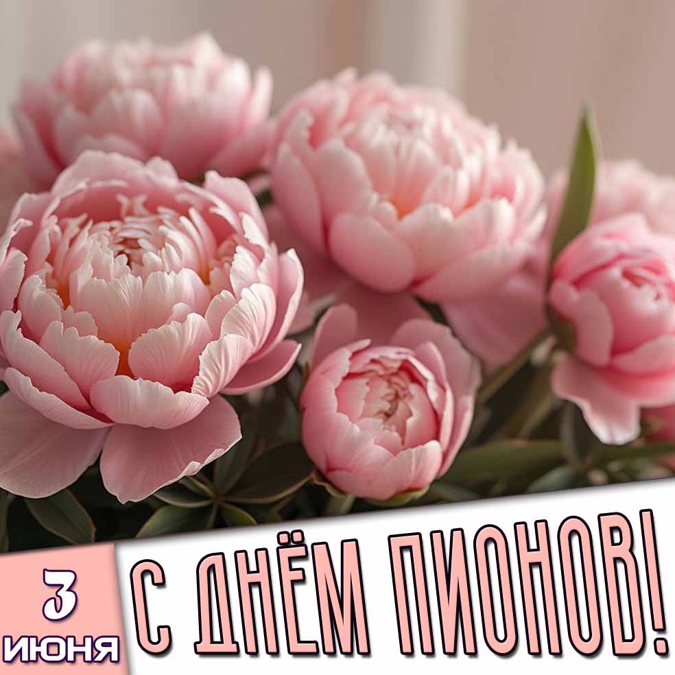 Картинка 3 июня - с днём пионов!