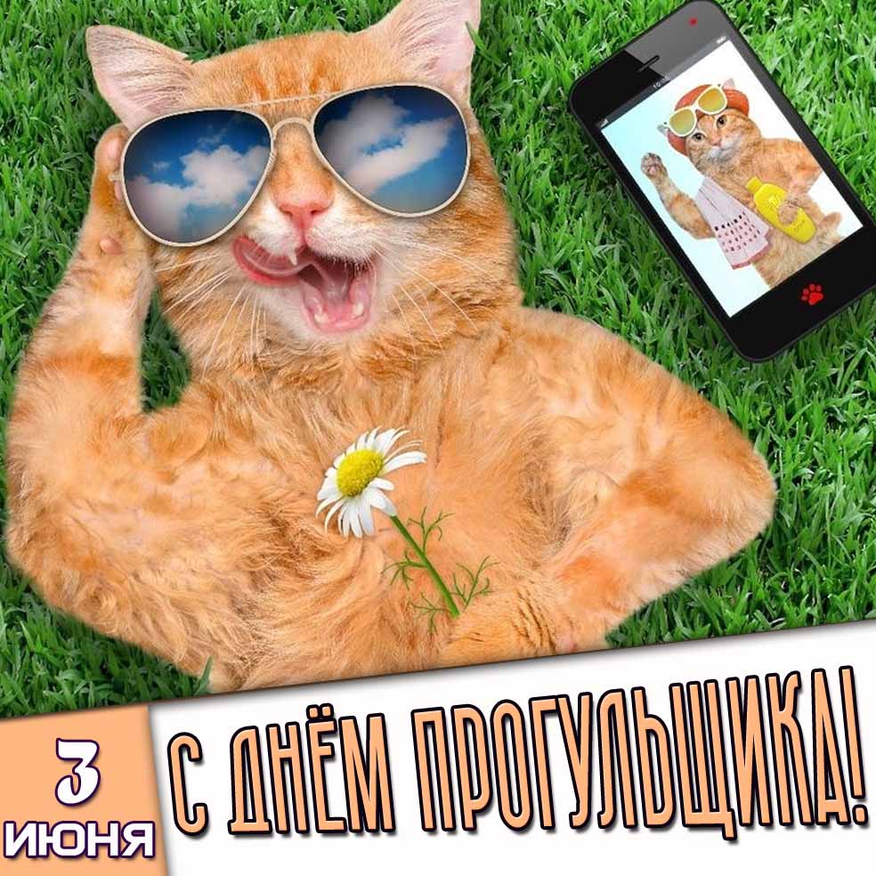 Смешная картинка 3 июня - с днём прогульщика!