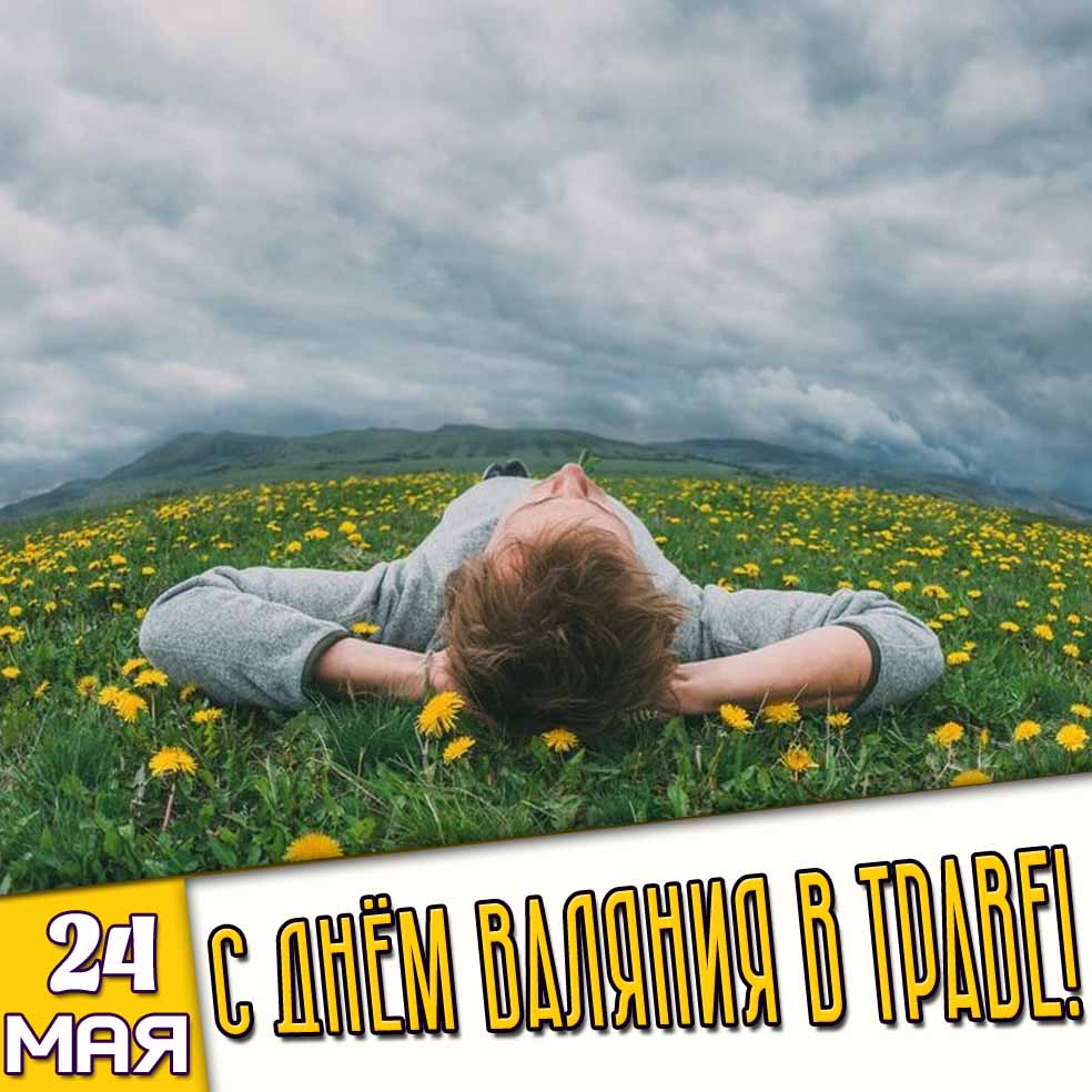 Открытка 24 мая - с днём валяния в траве!