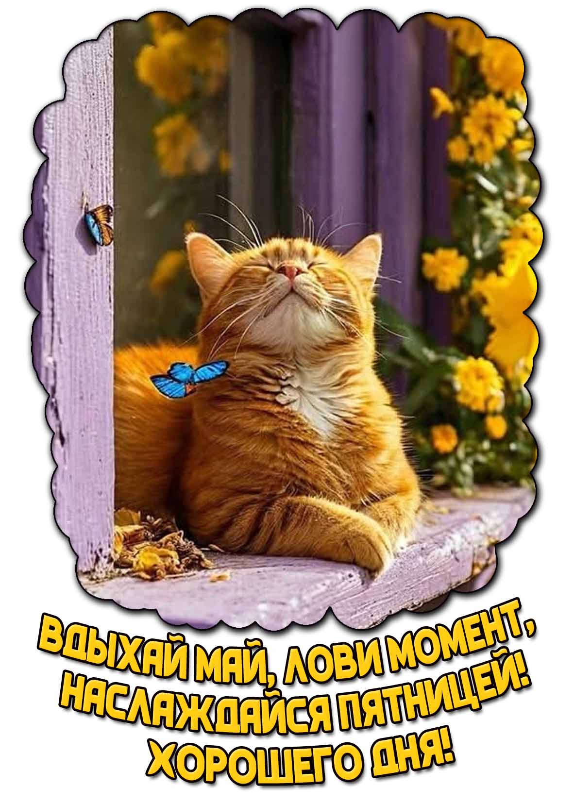 Картинка "Вдыхай май, лови момент, наслаждайся пятницей! Хорошего дня!"