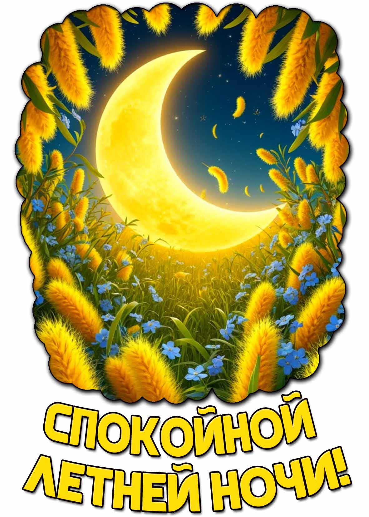 Картинка спокойной летней ночи