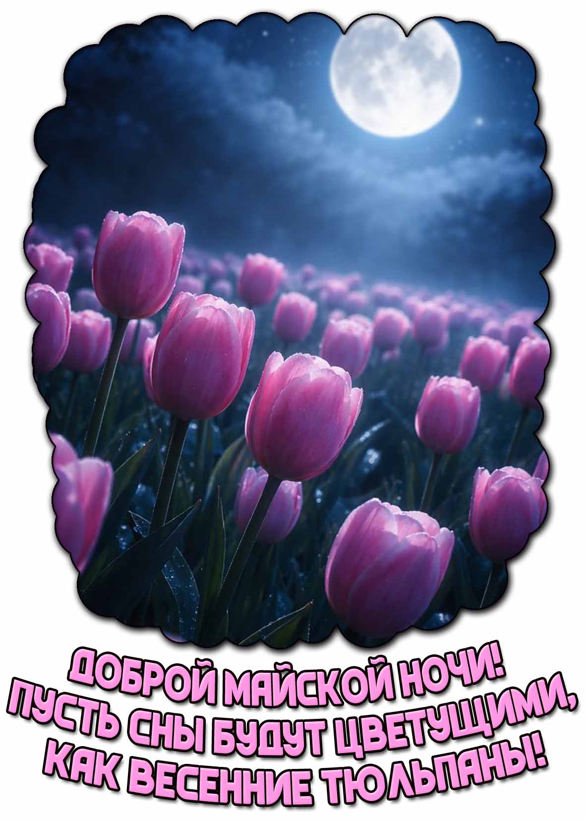 Картинка "Доброй майской ночи! Пусть сны будут цветущими, как весенние тюльпаны!"