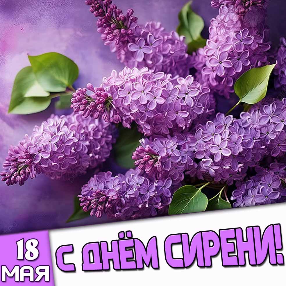 Картинка 18 Мая - с днём сирени!