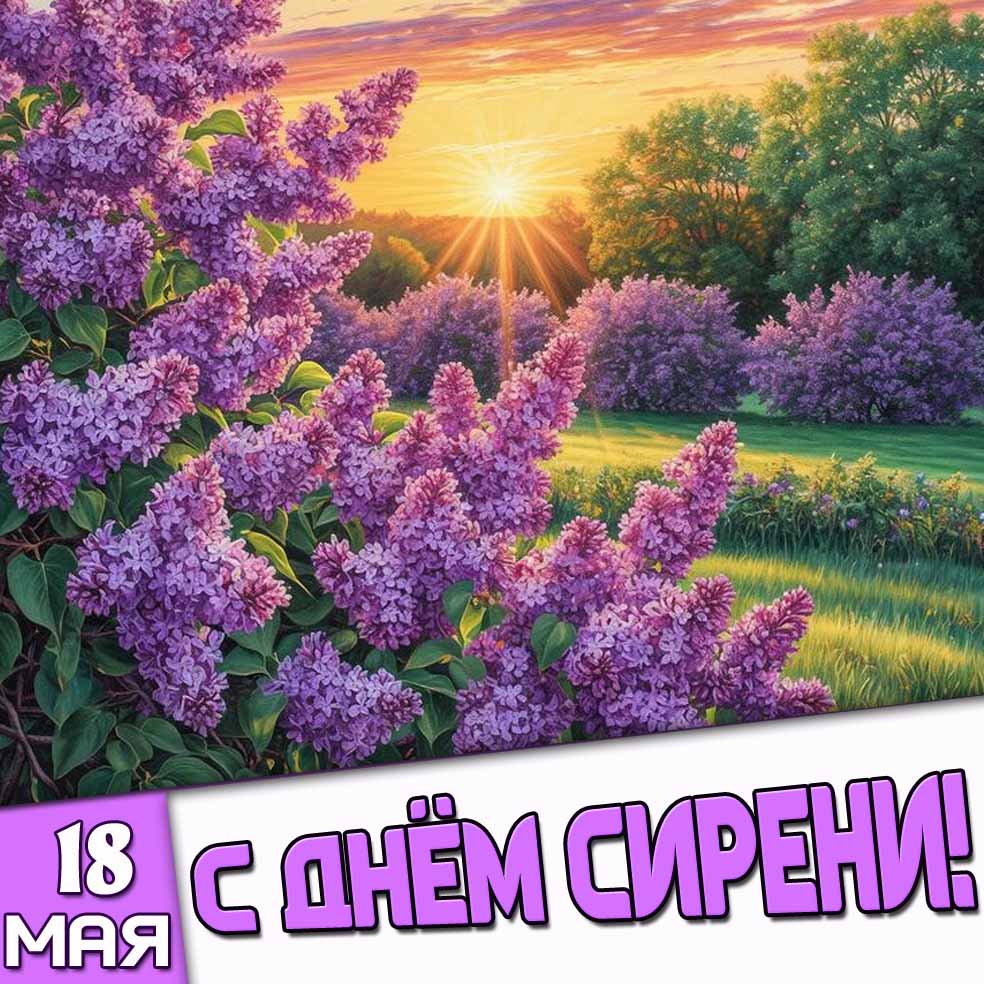 Открытка 18 мая - с днём сирени!