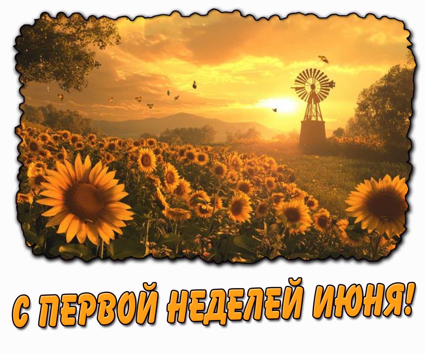 С первой неделей июня! - открытка с подсолнухами
