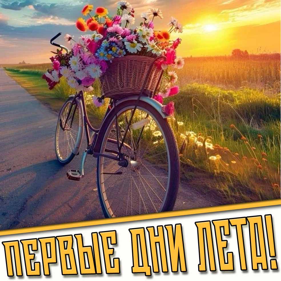 Картинки на первые дни Лета и Июня