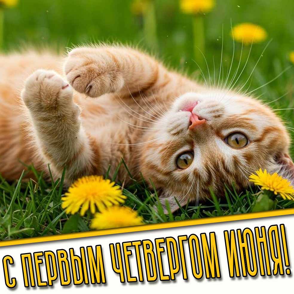 Картинка с первым четвергом июня