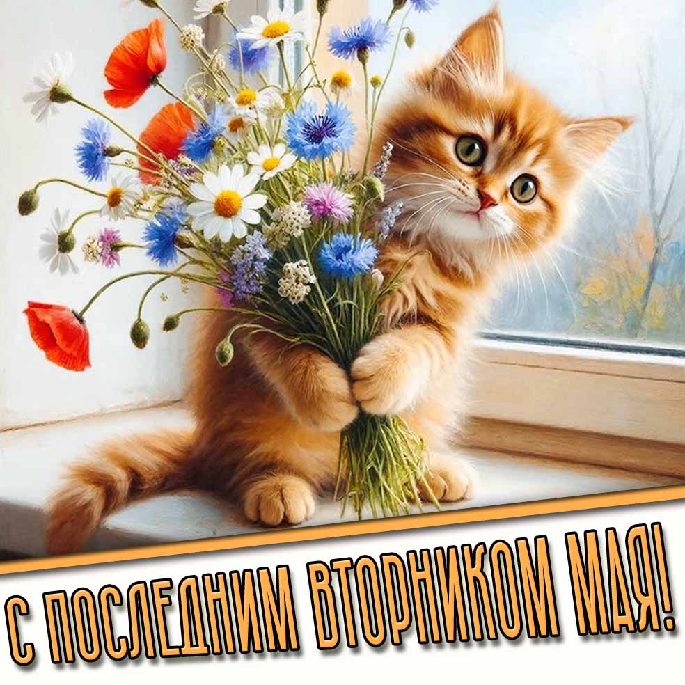 Картинка с последним вторником мая