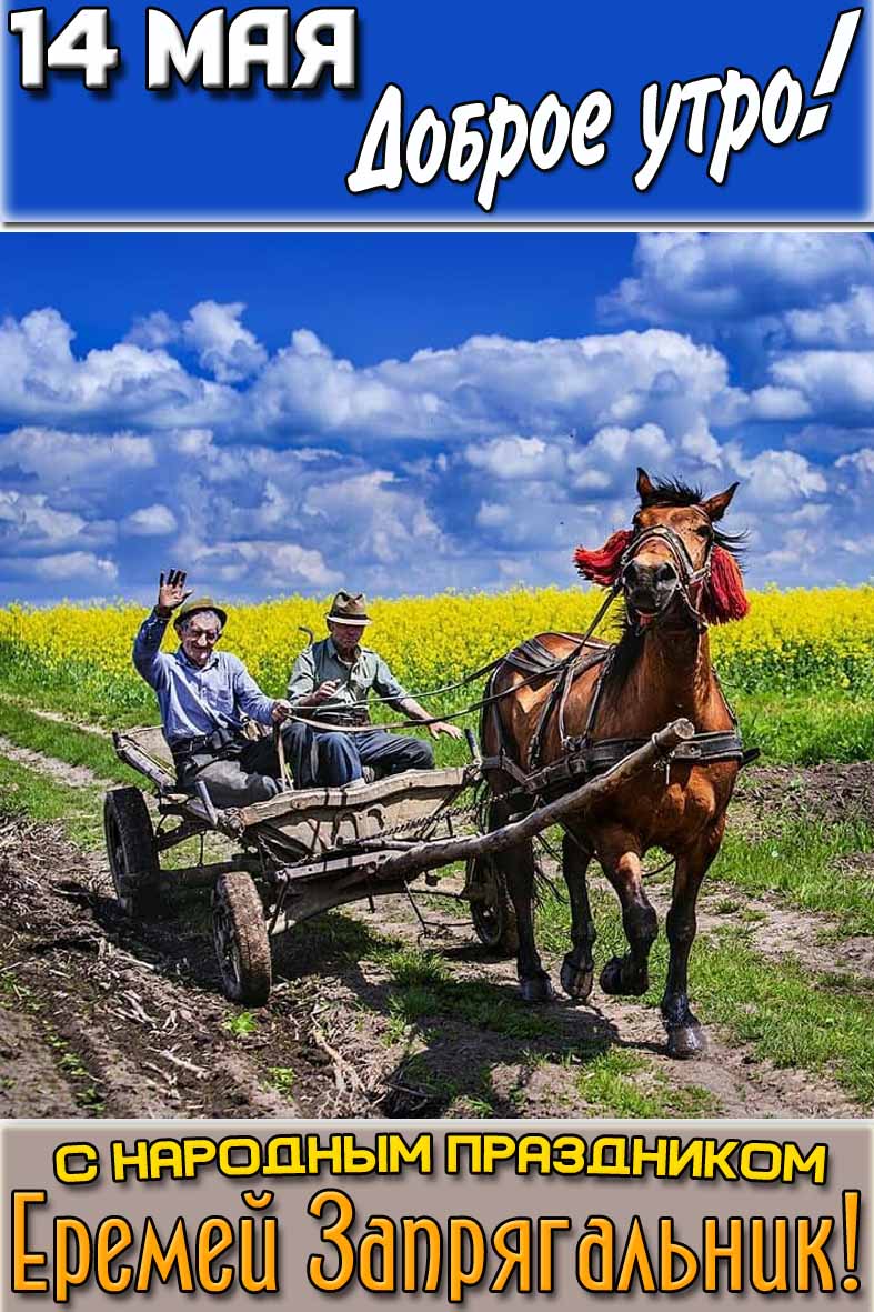 Картинка "14 мая доброе утро! С народным праздником Еремей Запрягальник!"