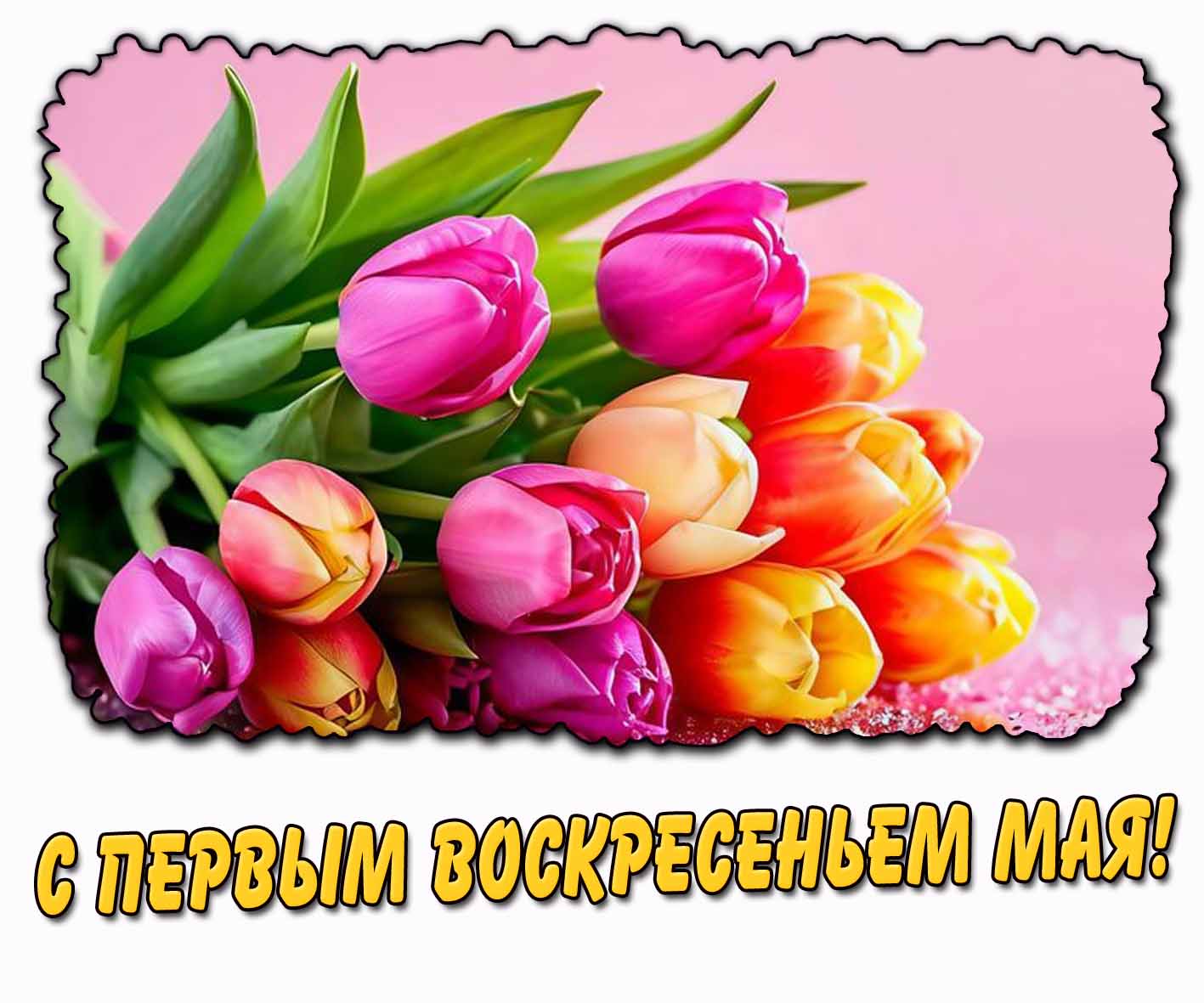 С первым воскресеньем мая! - картинка с тюльпанами