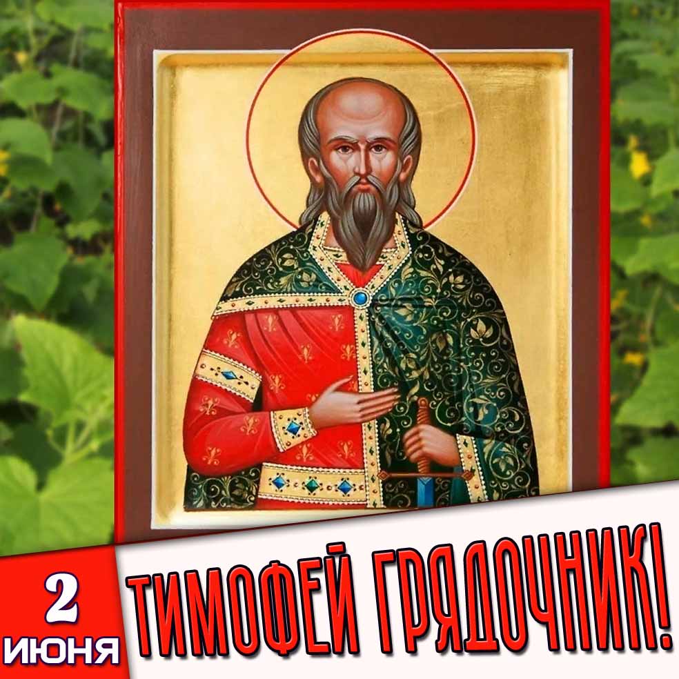 Картинка 2 июня - Тимофей Грядочник!