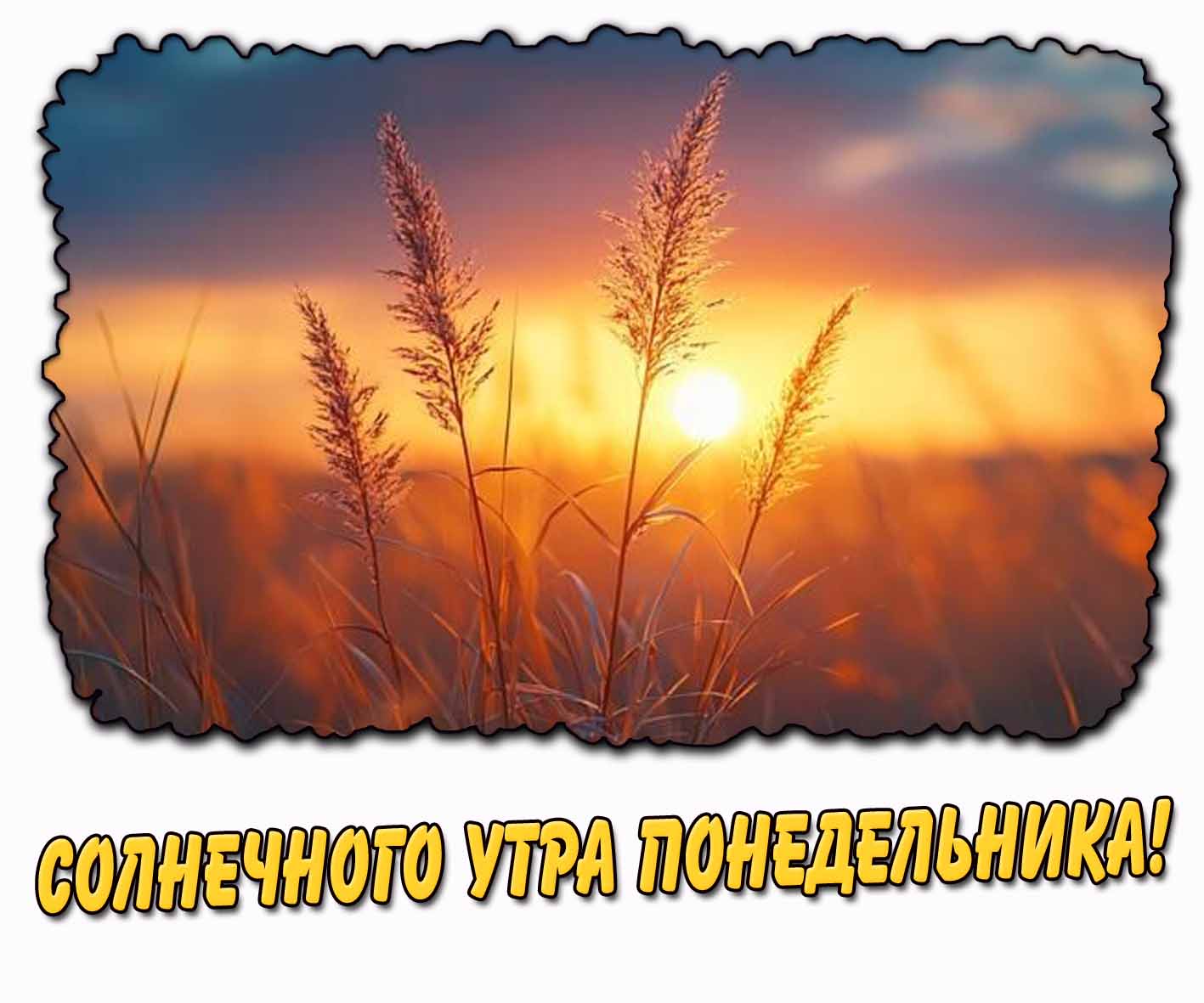 Летняя картинка "Солнечного утра понедельника!"