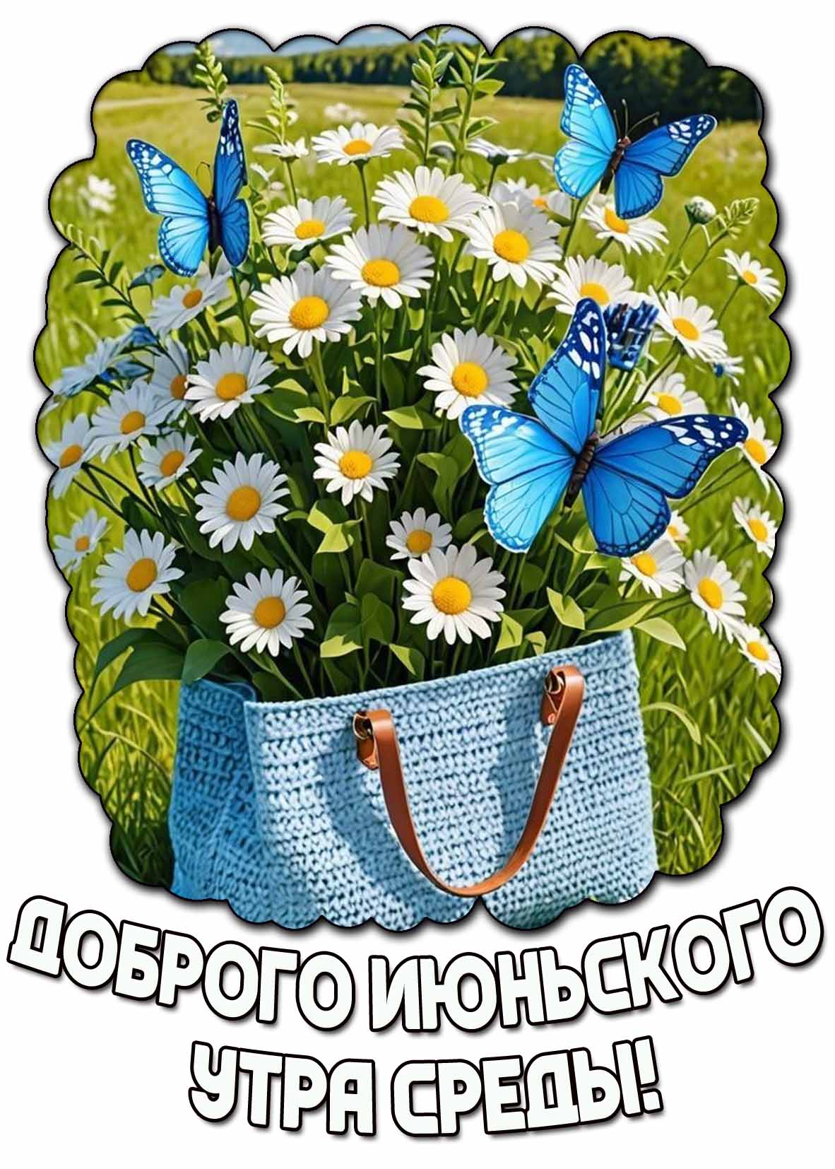 Картинка доброго июньского утра среды