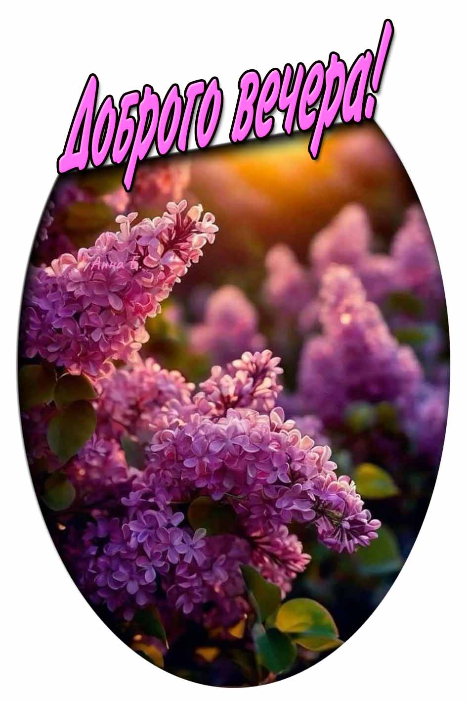 Доброго вечера! - картинка с весенней сиренью
