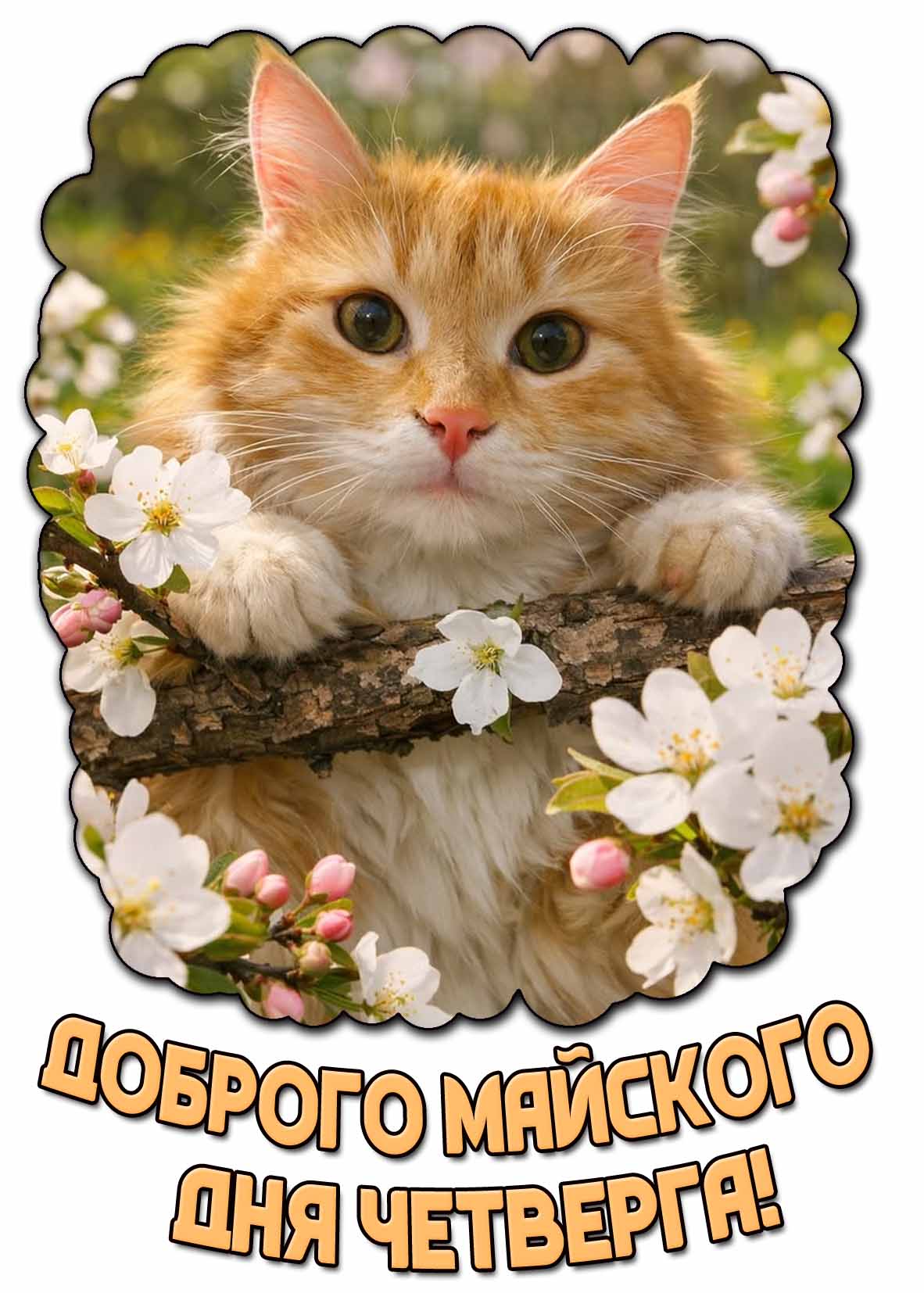 Открытка доброго майского дня четверга