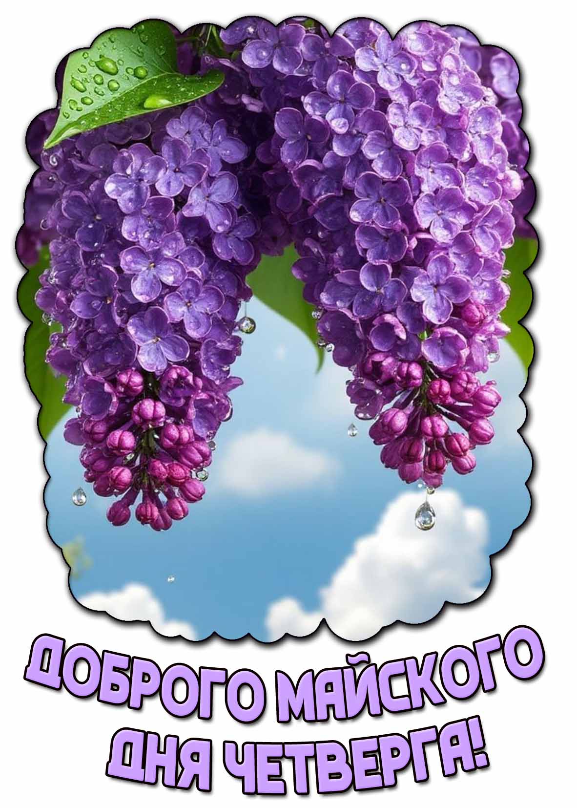 Картинка доброго майского дня четверга