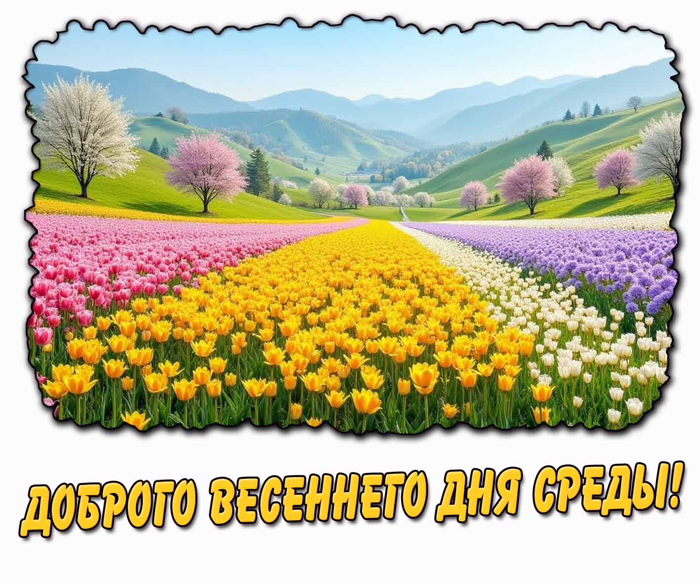 Доброго весеннего дня среды! - открытка с цветами