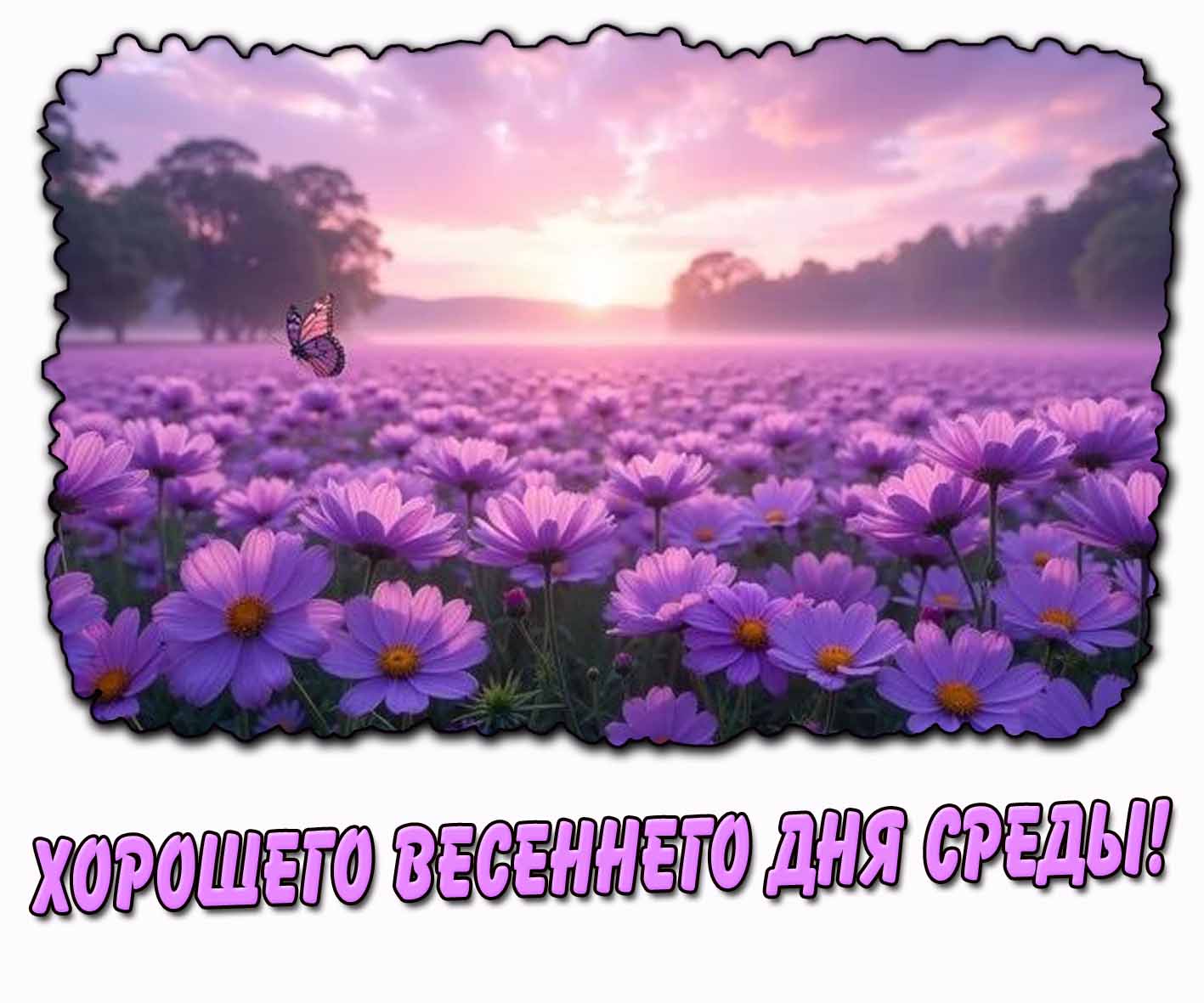 Хорошего весеннего дня среды! - необычная картинка