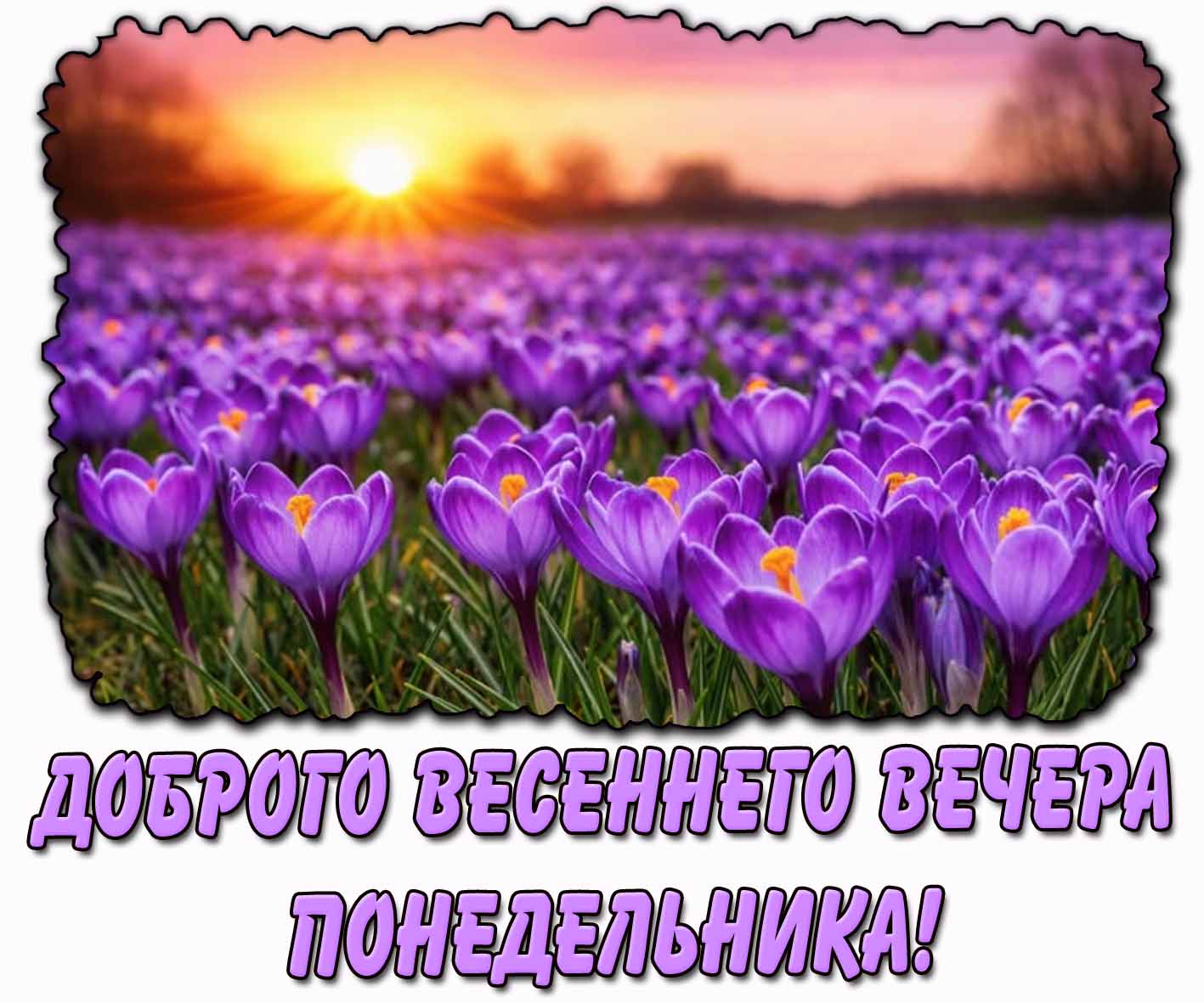 Доброго весеннего вечера понедельника! - открытка с цветами